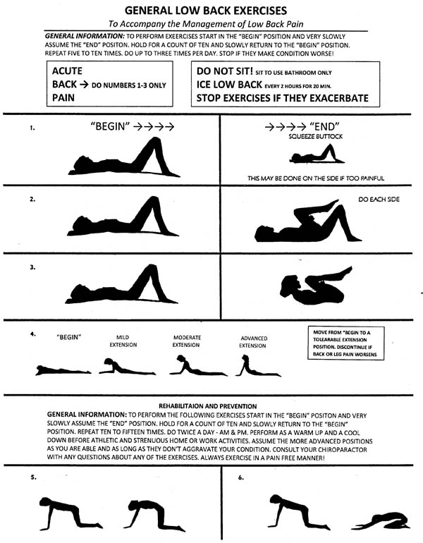 Spine-Exercises-1